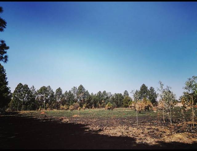 LAND FOR SALE IN WALKERVILLE CENTRAL